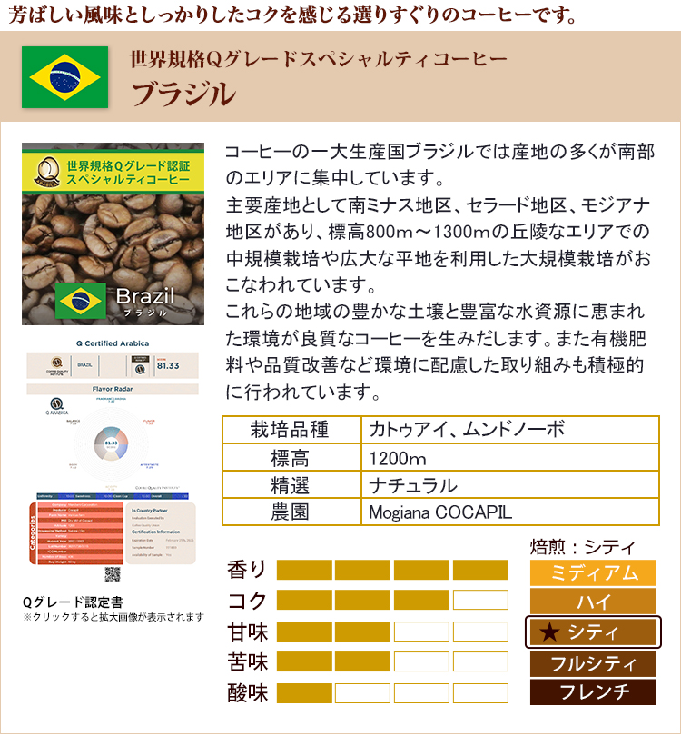 ブラジル世界規格Qグレード珈琲豆