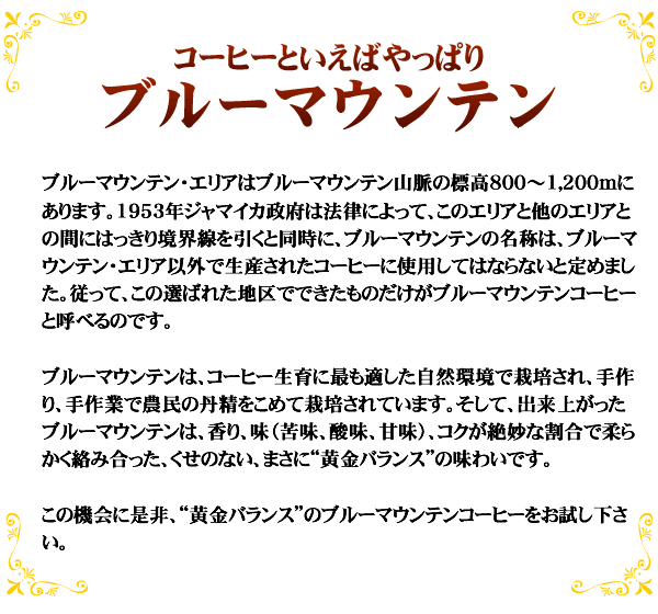 冬バーゲン☆】 500gお得袋 ブルーマウンテンNo.1 珈琲豆