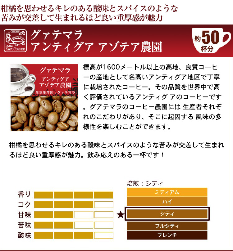 おもいっきり珈琲福袋(Qブラ・Qコロ・Qタン・アゾテア) | honu加藤珈琲店株式会社