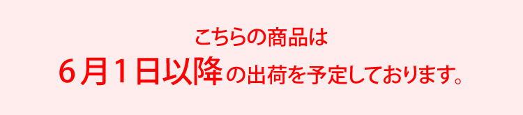 父の日福袋