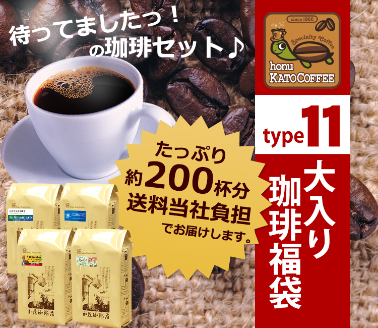 タイプ11