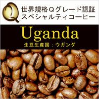 ウガンダ世界規格Qグレード珈琲豆(100g)/グルメコーヒー豆専門加藤珈琲